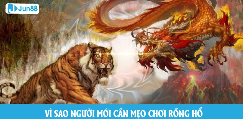 Vì sao người mới cần mẹo chơi rồng hổ?