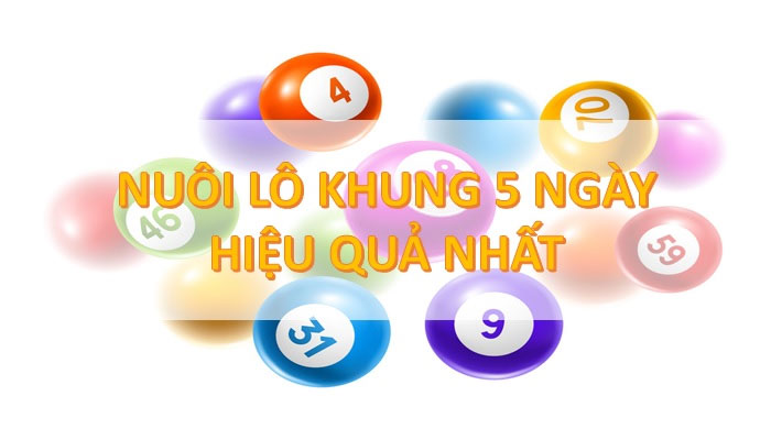 Khái niệm nuôi bạch thủ lô khung 5 ngày được hiểu là gì?